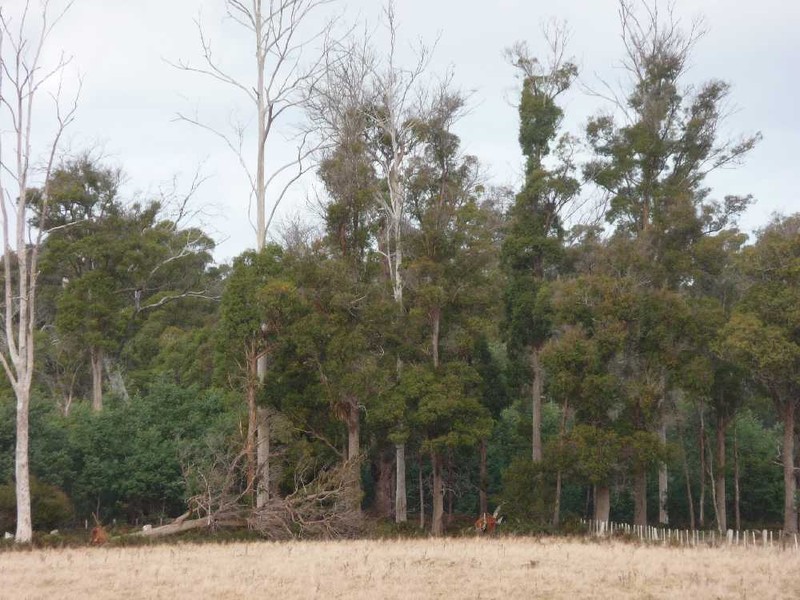 Shaws Road, Bridgenorth TAS 7277