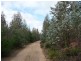 Shaws Road, Bridgenorth TAS 7277