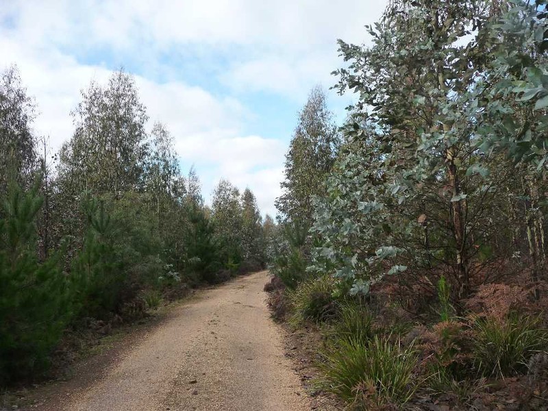 Shaws Road, Bridgenorth TAS 7277