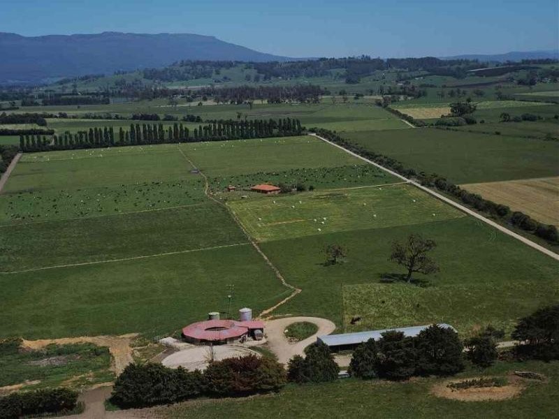 Deloraine TAS 7304