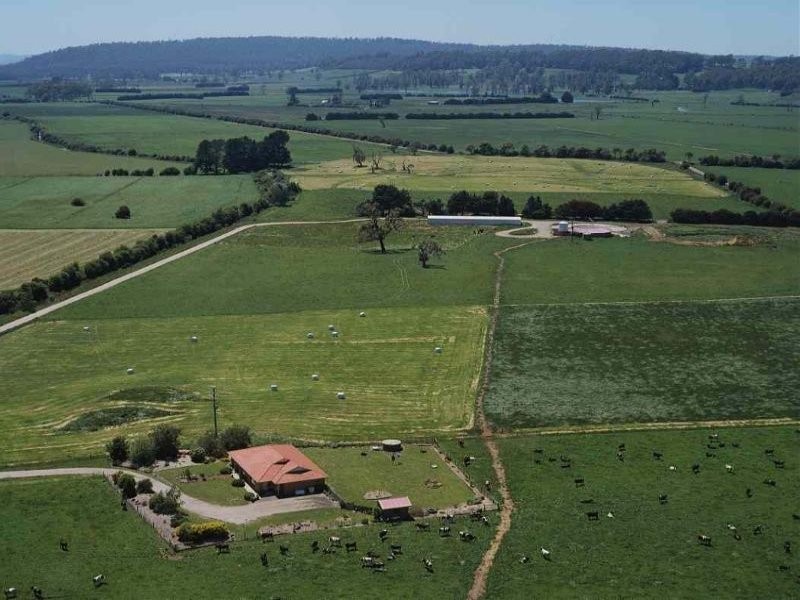 Deloraine TAS 7304