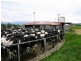Deloraine TAS 7304