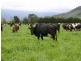 Deloraine TAS 7304
