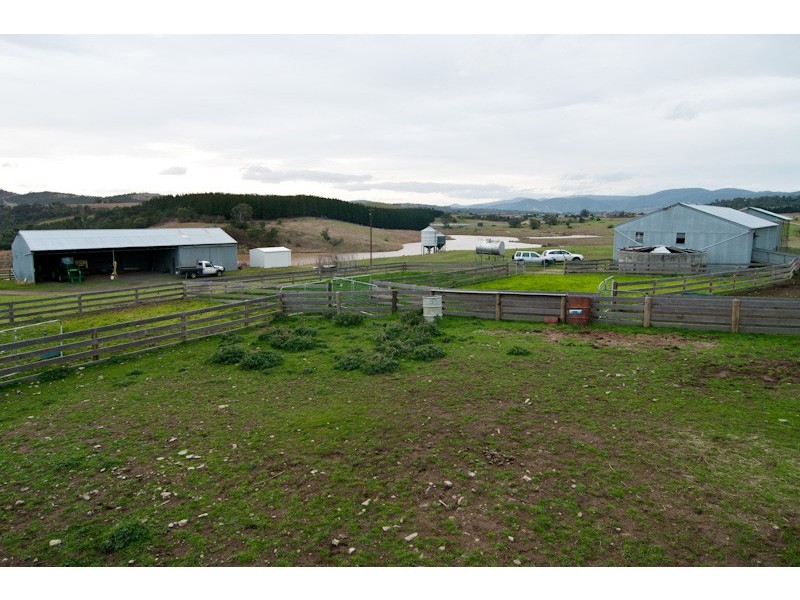 250 Cove Hill Road, Honeywood TAS 7017