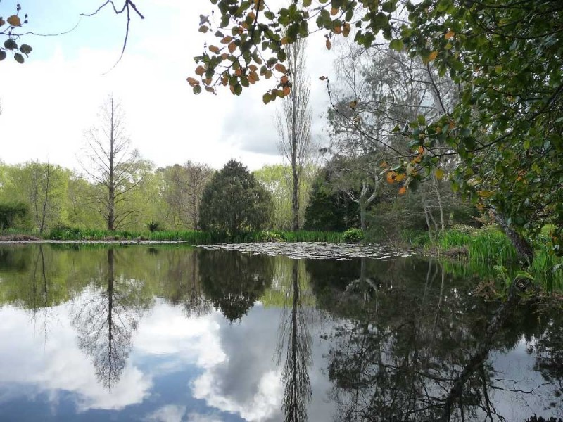 1 William Street, Westbury TAS 7303