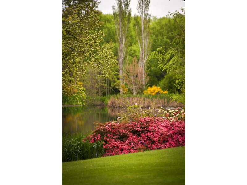 1 William Street, Westbury TAS 7303