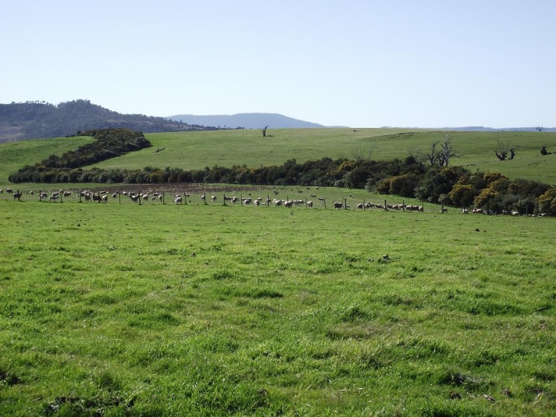 Boomer Road, Hamilton TAS 7140