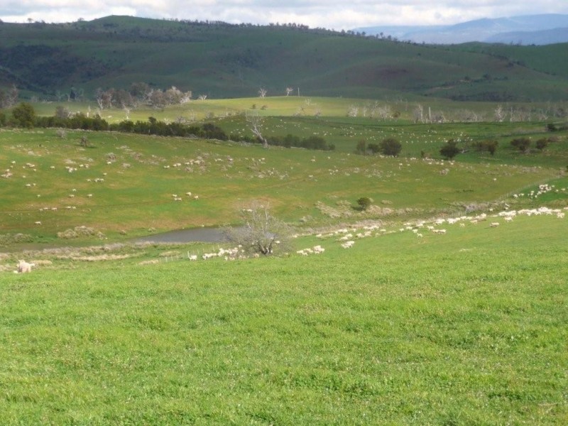 Boomer Road, Hamilton TAS 7140