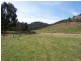 520 Stonehurst Road, Buckland TAS 7190