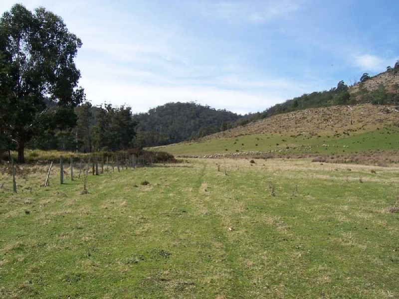 520 Stonehurst Road, Buckland TAS 7190