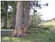 520 Stonehurst Road, Buckland TAS 7190