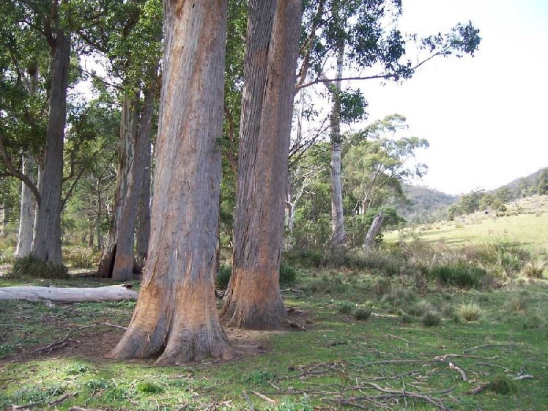 520 Stonehurst Road, Buckland TAS 7190