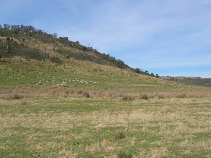 520 Stonehurst Road, Buckland TAS 7190