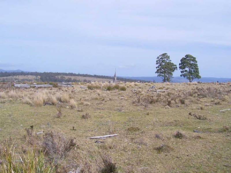 520 Stonehurst Road, Buckland TAS 7190