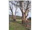 520 Stonehurst Road, Buckland TAS 7190