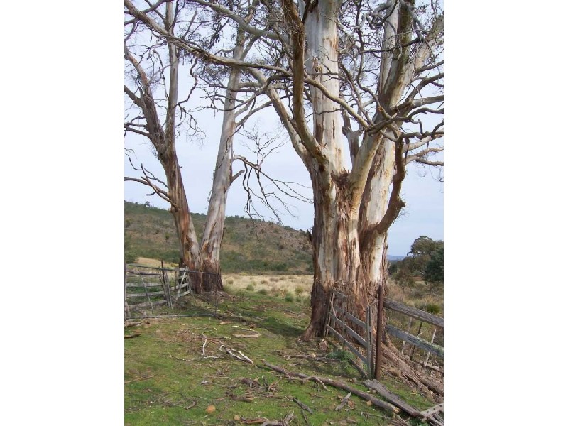 520 Stonehurst Road, Buckland TAS 7190