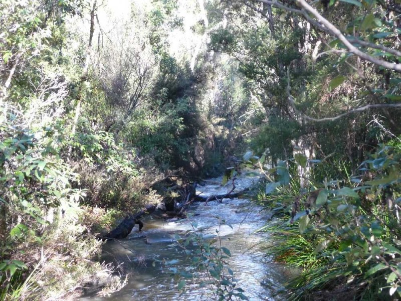 168 Magazine Road, Dilston TAS 7252