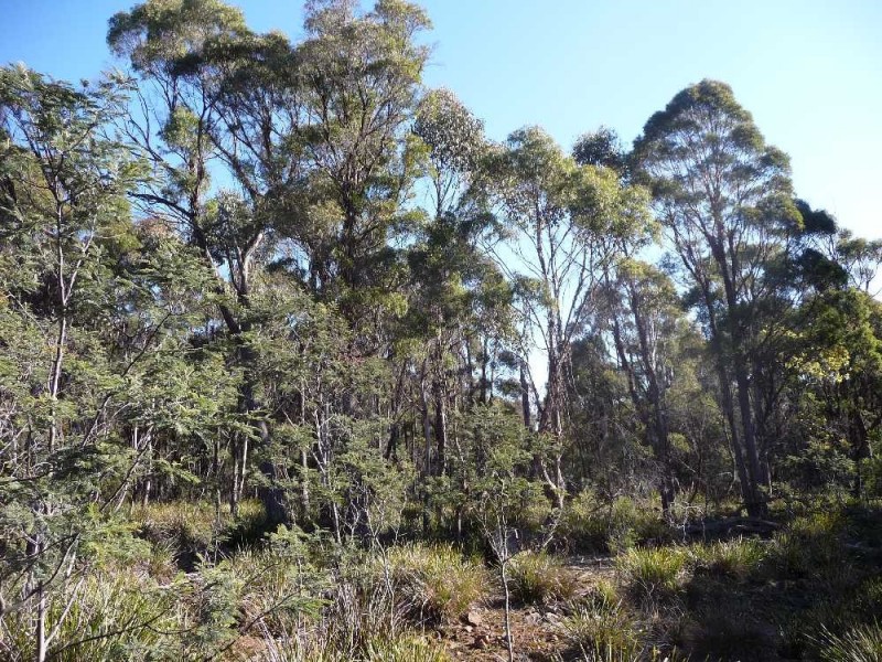 168 Magazine Road, Dilston TAS 7252