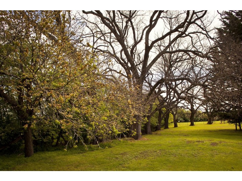 178 Wilmores Lane, Longford TAS 7301