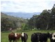 7 Blinkbonny Road, Lunawanna, Bruny Island TAS 7150