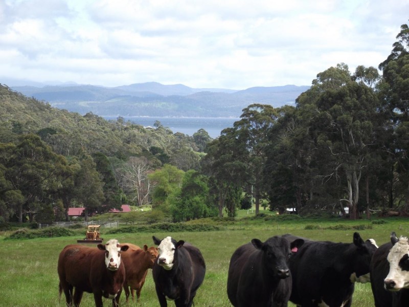 7 Blinkbonny Road, Lunawanna, Bruny Island TAS 7150