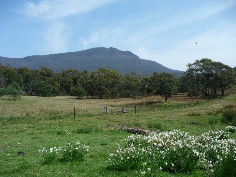 1585 Liffey Road, Liffey TAS 7301