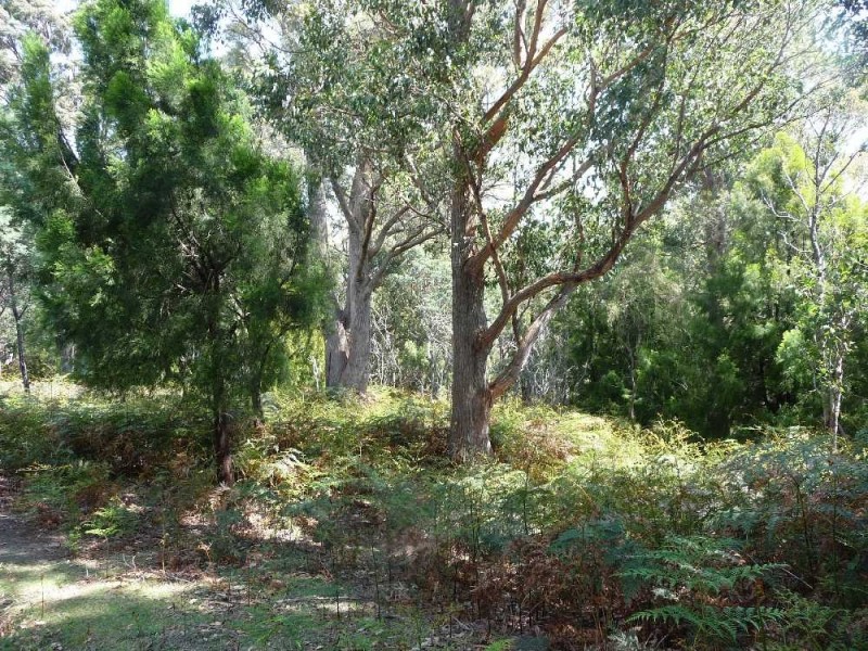 1585 Liffey Road, Liffey TAS 7301