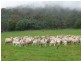 1504 Deddington Road, Deddington TAS 7212