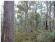 1504 Deddington Road, Deddington TAS 7212