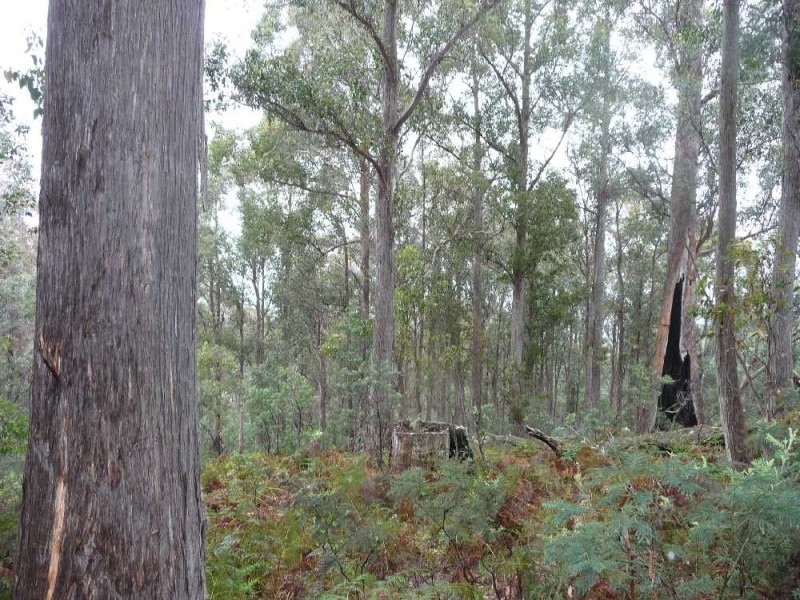 1504 Deddington Road, Deddington TAS 7212
