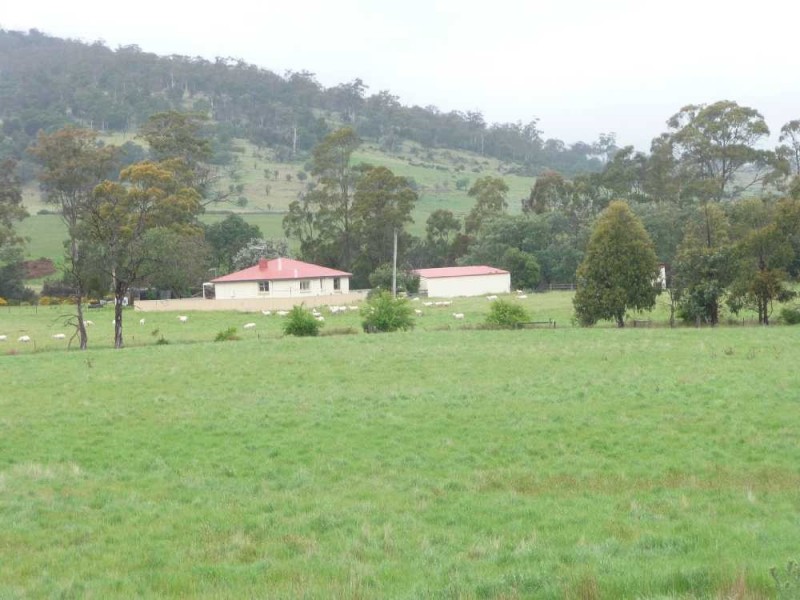 1504 Deddington Road, Deddington TAS 7212