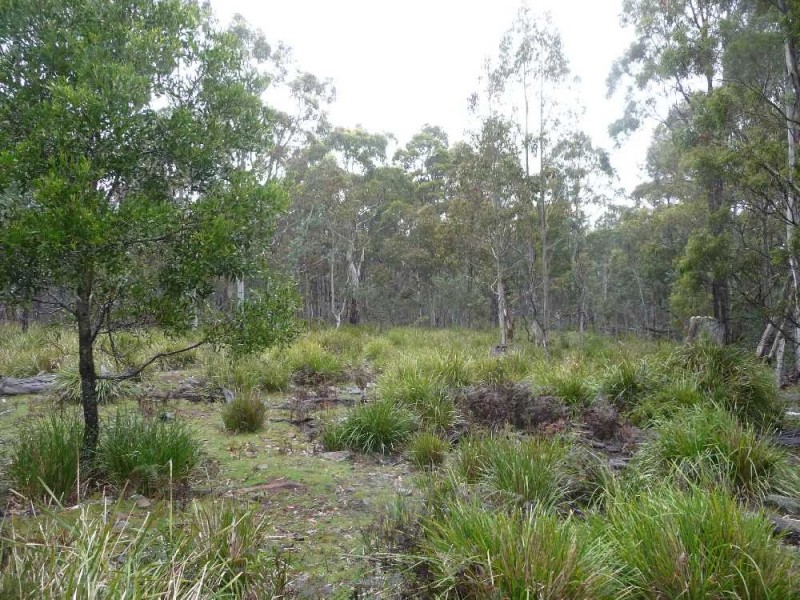 1504 Deddington Road, Deddington TAS 7212