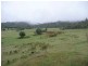 1504 Deddington Road, Deddington TAS 7212