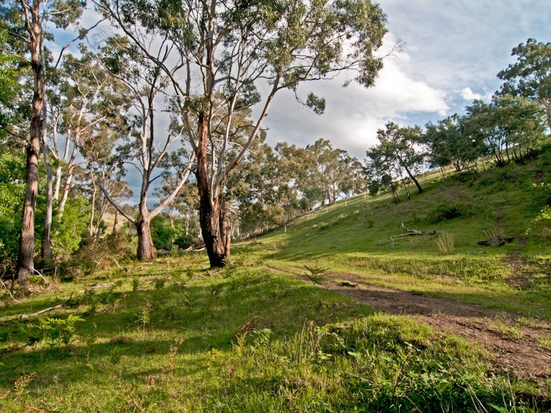 . Glenora Road, Plenty TAS 7140