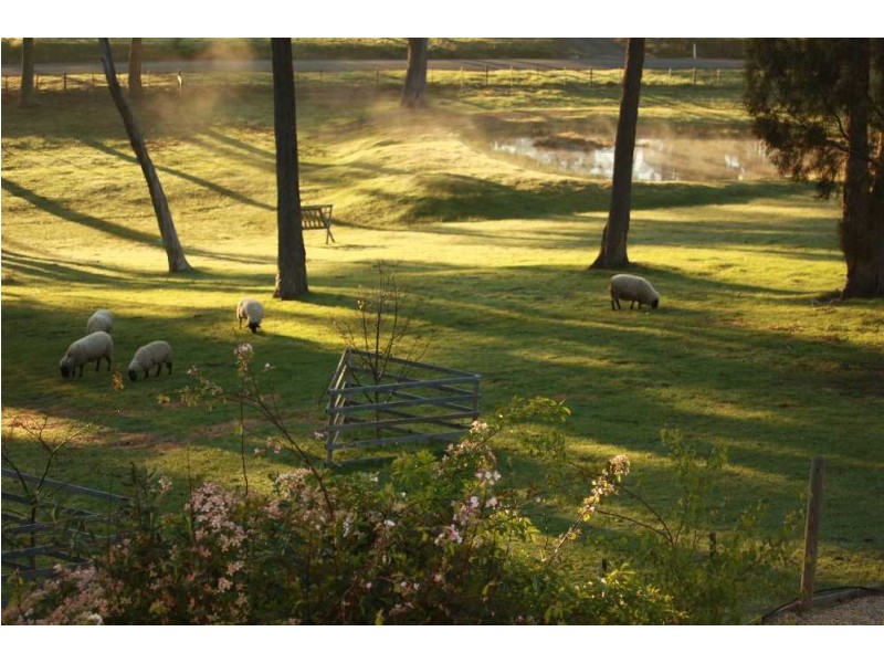 75 Caledonia Drive, Relbia TAS 7258