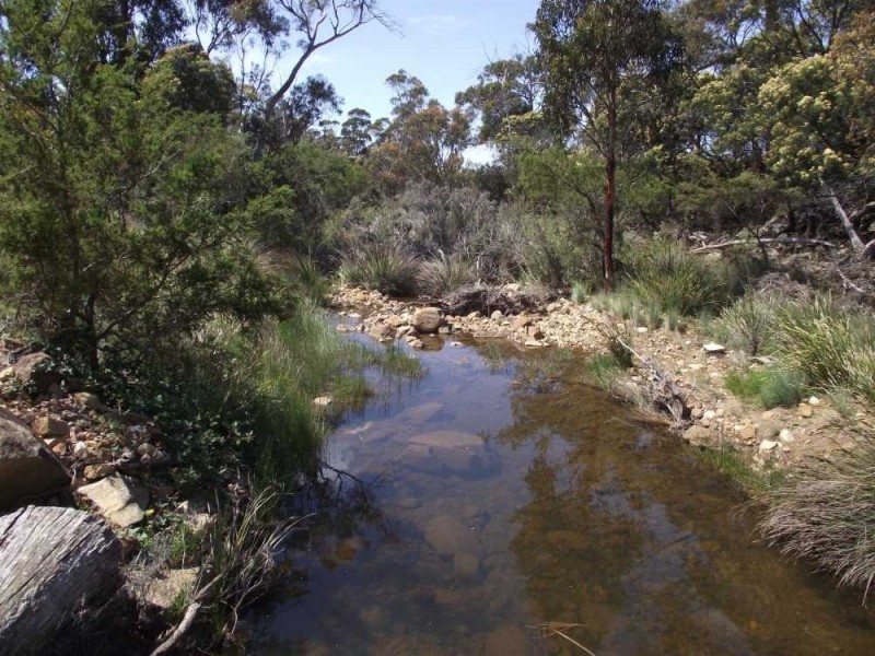 Tasman Highway, Little Swanport TAS 7190