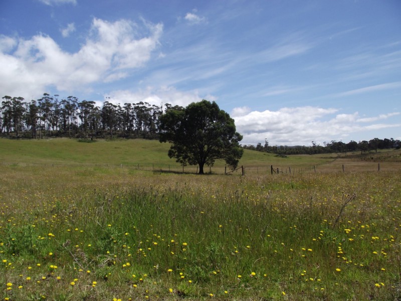 Tasman Highway, Little Swanport TAS 7190