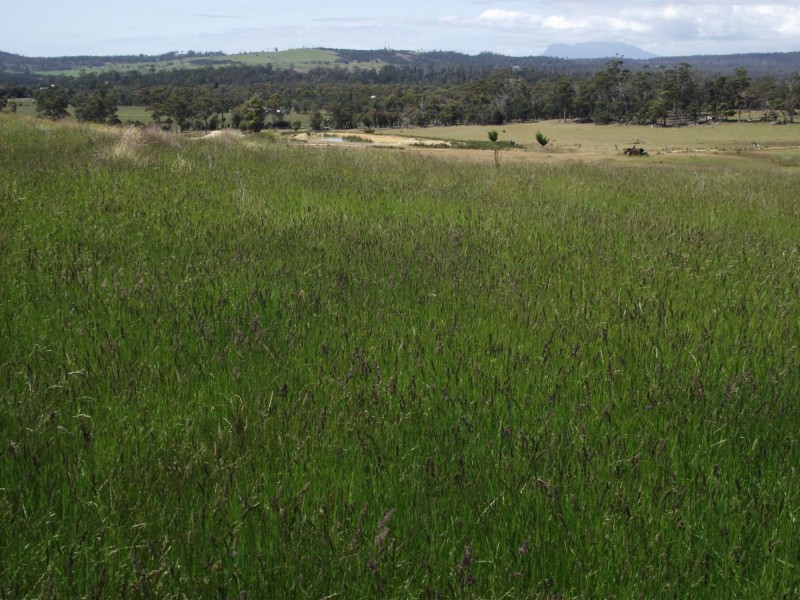 Tasman Highway, Little Swanport TAS 7190