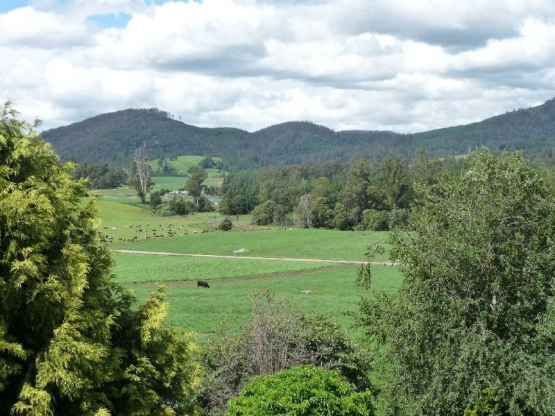 310 Mackenzie Valley Road, Cuckoo, Scottsdale TAS 7260