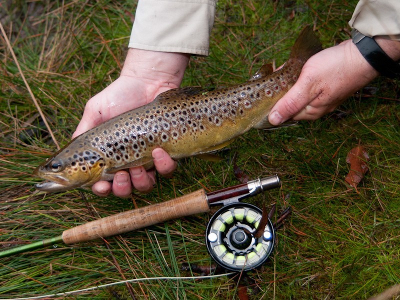 . Maudsleys Road, Allens Rivulet TAS 7150