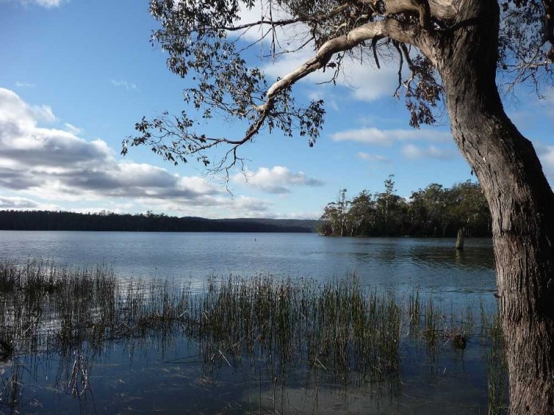 . Chock-N-Log Bay, Lake Leake TAS 7210