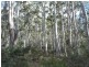 . Chock-N-Log Bay, Lake Leake TAS 7210