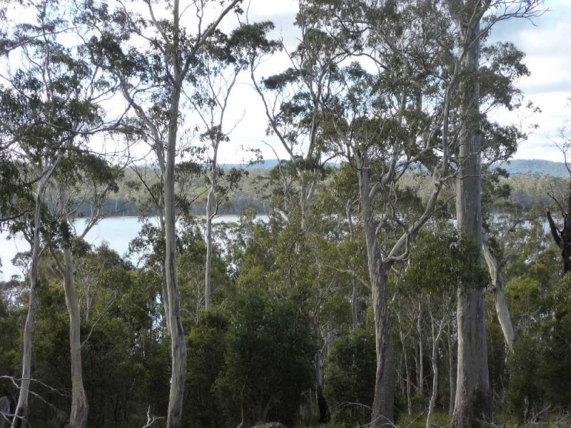 . Chock-N-Log Bay, Lake Leake TAS 7210
