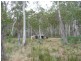 . Chock-N-Log Bay, Lake Leake TAS 7210