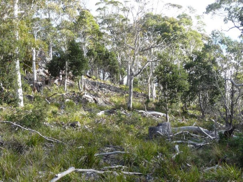 . Chock-N-Log Bay, Lake Leake TAS 7210