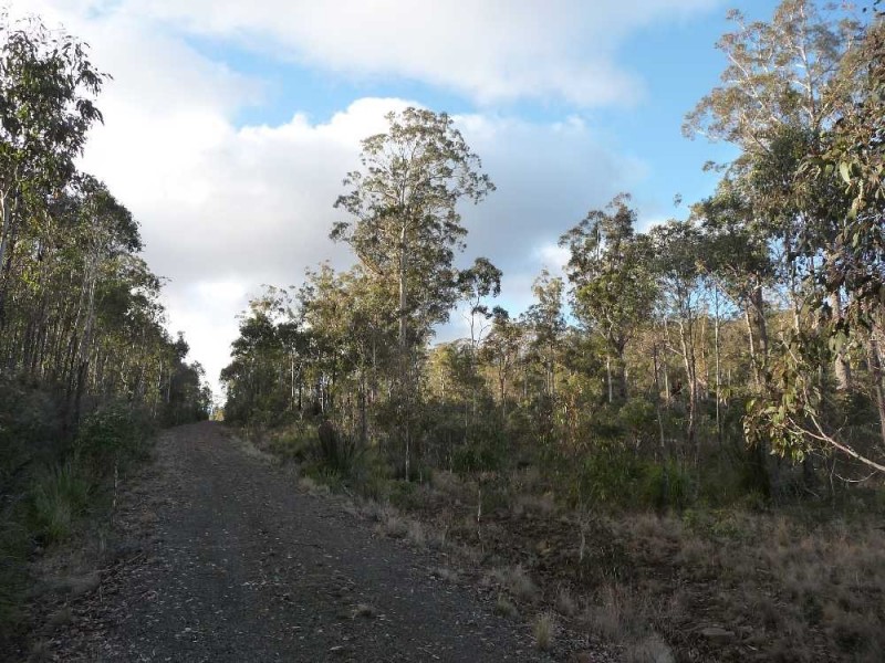 . Chock-N-Log Bay, Lake Leake TAS 7210
