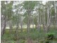 . Chock-N-Log Bay, Lake Leake TAS 7210