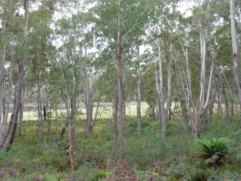 . Chock-N-Log Bay, Lake Leake TAS 7210