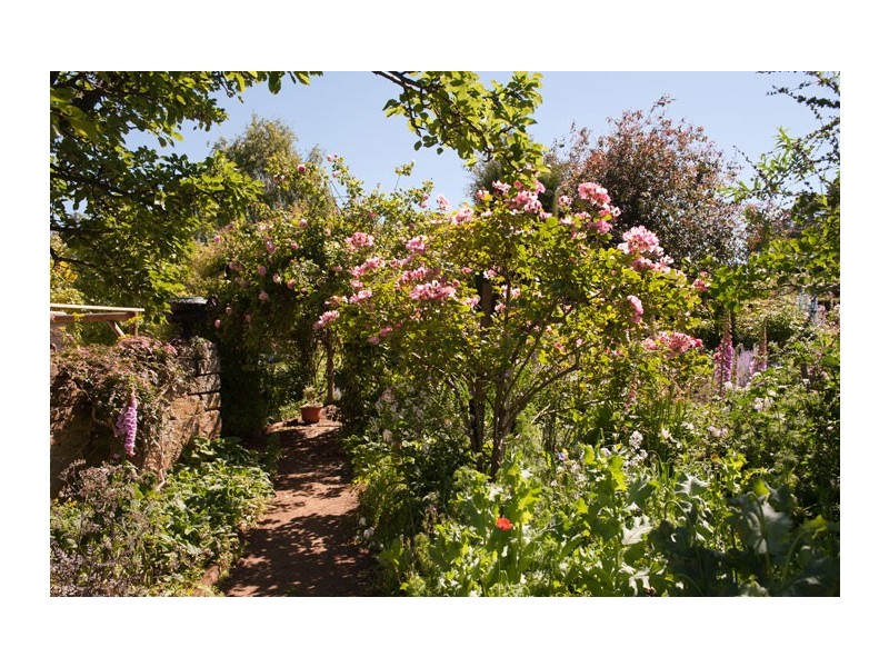 485 Hamilton Plains Road, Hamilton TAS 7140