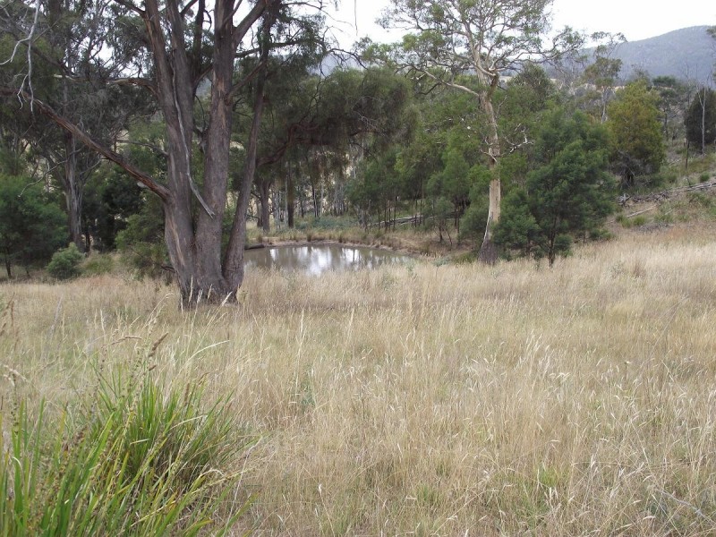 Lot 1 Williams Road, Tea Tree TAS 7017